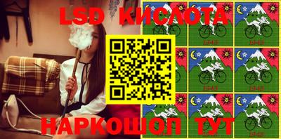 не бодяженный Сланцы