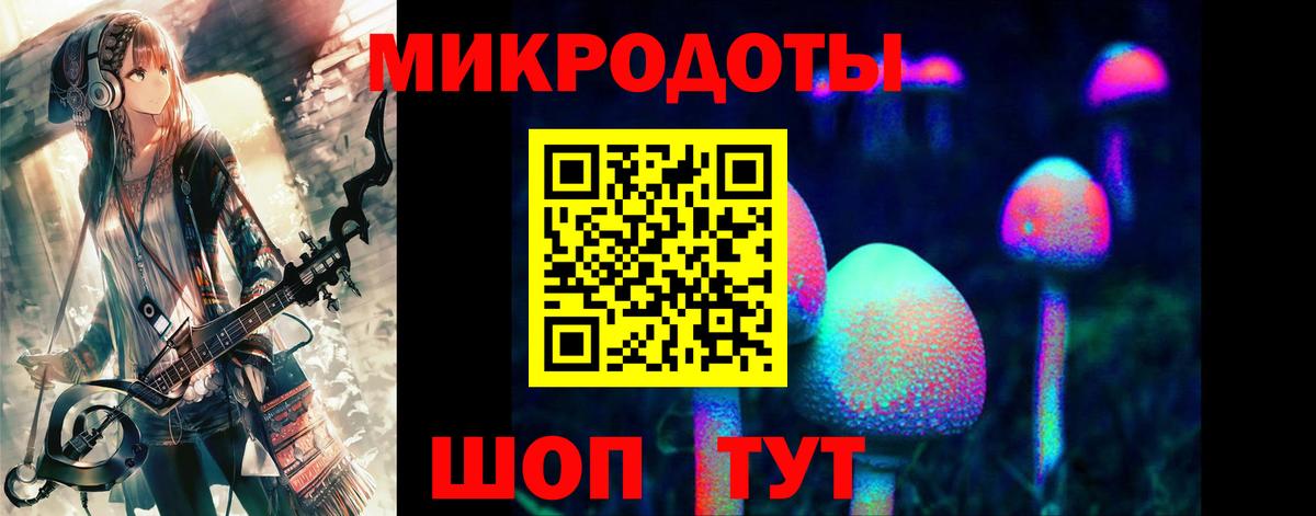 где купить   Вход с VPN  Галлюциногенные грибы MAGIC MUSHROOMS  Пенза  Псилоцибиновые грибы прущие грибы 